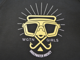 Wellington Girls College